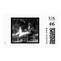 Chimpanzee With a Bottle and Glass at the Zoo 1926 postage by lc_vintagephotos Chimpanzee With a Bottle and Glass at the Zoo 1926 postage
