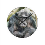CHIMPANZEES ROUND WALLCLOCK