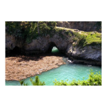 China Cove, Point Lobos CA posters by niburaz China Cove, Point Lobos CA posters