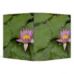 China, Hong Kong, New Territories. Chi Lin binders