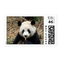 China Panda Bear postage by jennlowhew China Panda Bear postage