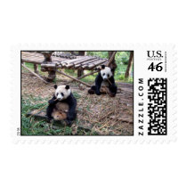 China Panda Bear postage