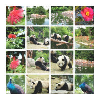 China pandas, peacock, flamingo flocks, flowers gallery wrap canvas