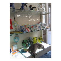 China Shop. No Bull. postcards