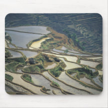 China, Yunnan Province. Flooded rice terraces of Mousepads