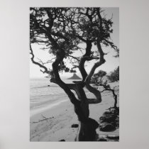 Chinaman's Hat Poster
