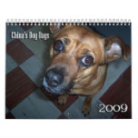 China's Dog Days 2009 Calendar