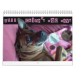 China's Dog Days 2011 calendars