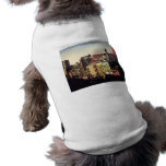 Chinatown From Above Doggie T Shirt