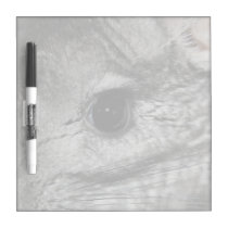 chinchilla eye close up dry erase boards