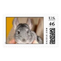 chinchilla postage by Jojogojo chinchilla postage