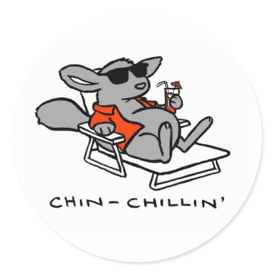 Chinchilla Sticker
