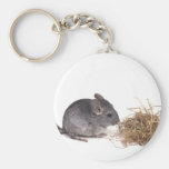chinchillas key chains