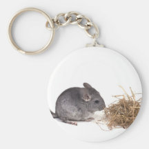 chinchillas key chains
