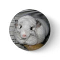 Chinchillin' buttons