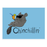 chinchillin postcards