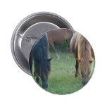 Chincoteague Island / Assateague Island pony Pinback Button