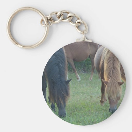 Chincoteague Island / Assateague Island pony Keychain