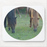 Chincoteague Island / Assateague Island pony Mousepad