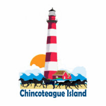 Chincoteague Island. photo sculptures