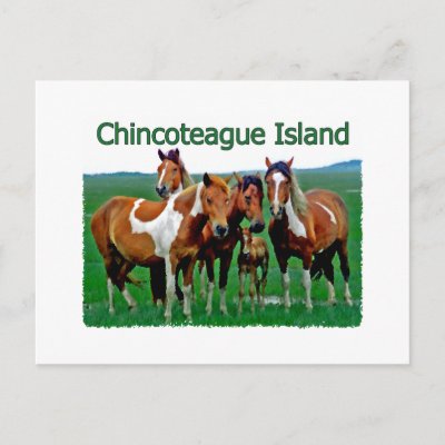 Chincoteague Island (ponies) Postcard