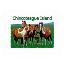 Chincoteague Island (ponies) Postcard