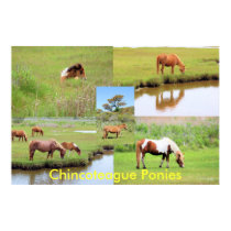 Chincoteague Ponies Collage posters by almedic104 Chincoteague Ponies Collage posters