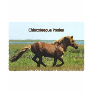 Chincoteague Ponies (running stallion) shirt