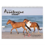 Chincoteague Pony Calendar