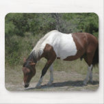 Chincoteague Pony Mousepads