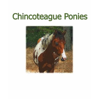 Chincoteague Pony Stallion shirt
