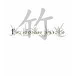 Chinese Bamboo Symbol Shirts