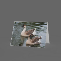 Chinese Brown Geese Greeting Card cards