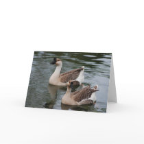 Chinese Brown Geese Greeting Card