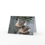 Chinese Brown Geese Greeting Card