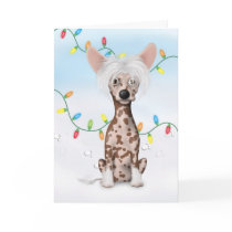 Chinese Crested 1 Christmas cards