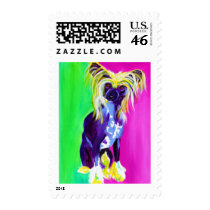 Chinese Crested #1 Postage Stamps