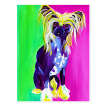 Chinese Crested #1 postcards