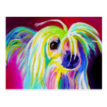 Chinese Crested #1 Postcards