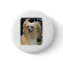 Chinese Crested 9W016D-149 buttons by TraffordPhotos Chinese Crested 9W016D-149 buttons