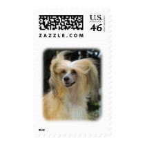 Chinese Crested 9W016D-149 Postage Stamps