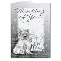 Chinese Crested Blue cards