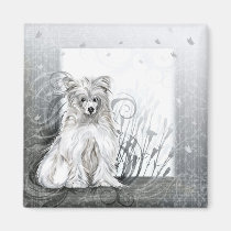 Chinese Crested Blue magnets