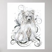 Chinese Crested Blue NB posters
