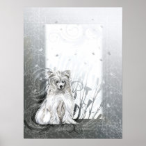 Chinese Crested Blue posters