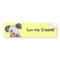Chinese Crested bumper stickers by Cazzies_Creations Chinese Crested bumper stickers