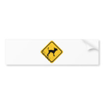 Chinese Crested bumper stickers