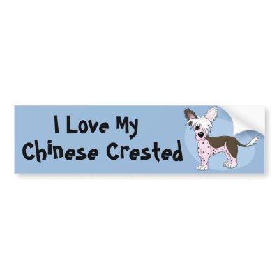 Chinese Crested Bumper Sticker by MenagerieMayhem