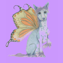 chinese crested butterdog t-shirts