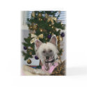 Chinese Crested Christmas Card by shannonalbert30 Chinese Crested Christmas Card